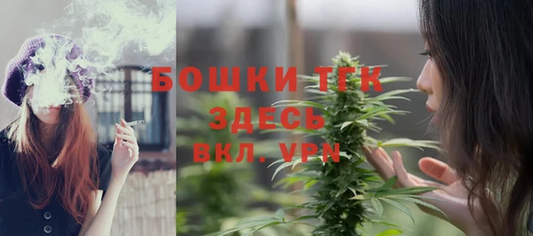 ПСИЛОЦИБИНОВЫЕ ГРИБЫ Балабаново