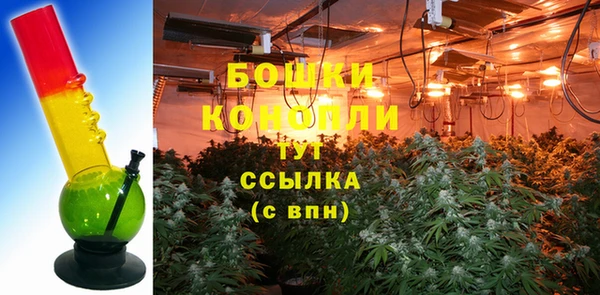 ПСИЛОЦИБИНОВЫЕ ГРИБЫ Балабаново