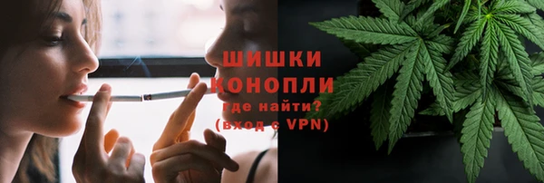 твердый Ладушкин