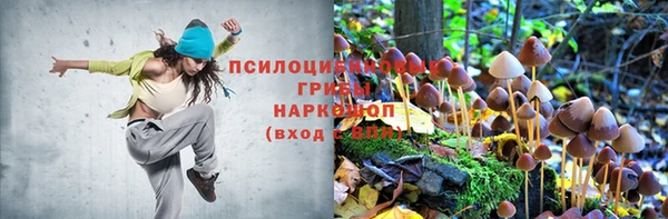 ПСИЛОЦИБИНОВЫЕ ГРИБЫ Балабаново