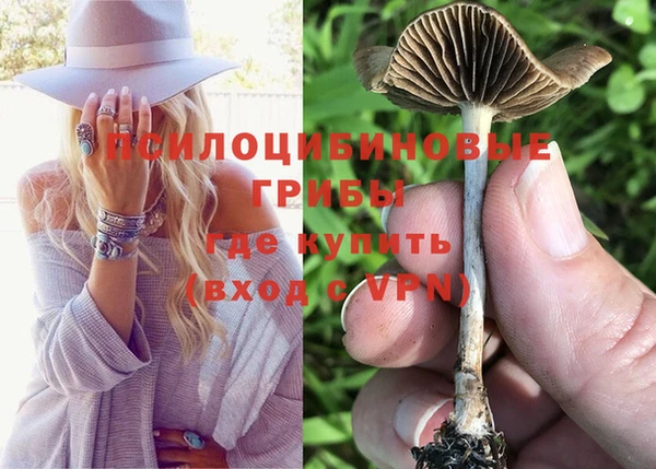 ПСИЛОЦИБИНОВЫЕ ГРИБЫ Балабаново