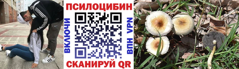 Псилоцибиновые грибы Cubensis  Голицыно 
